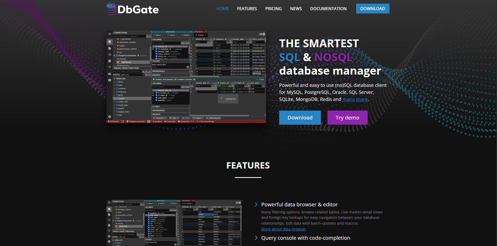DbGate web image